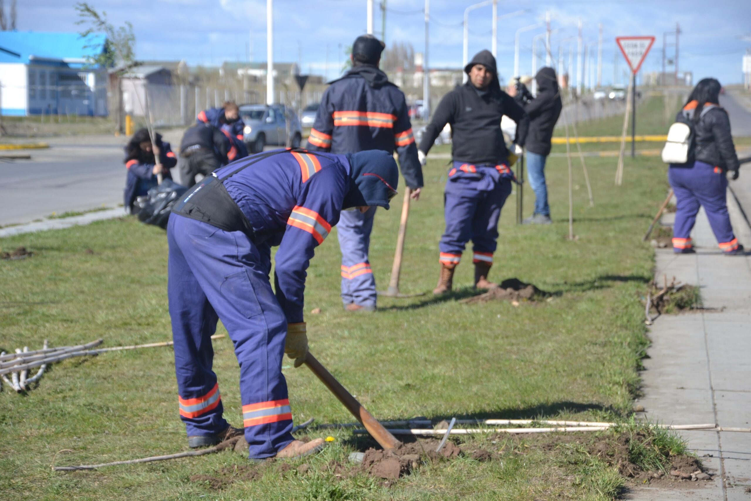 Avanza el verde en los bulevares de Río Gallegos