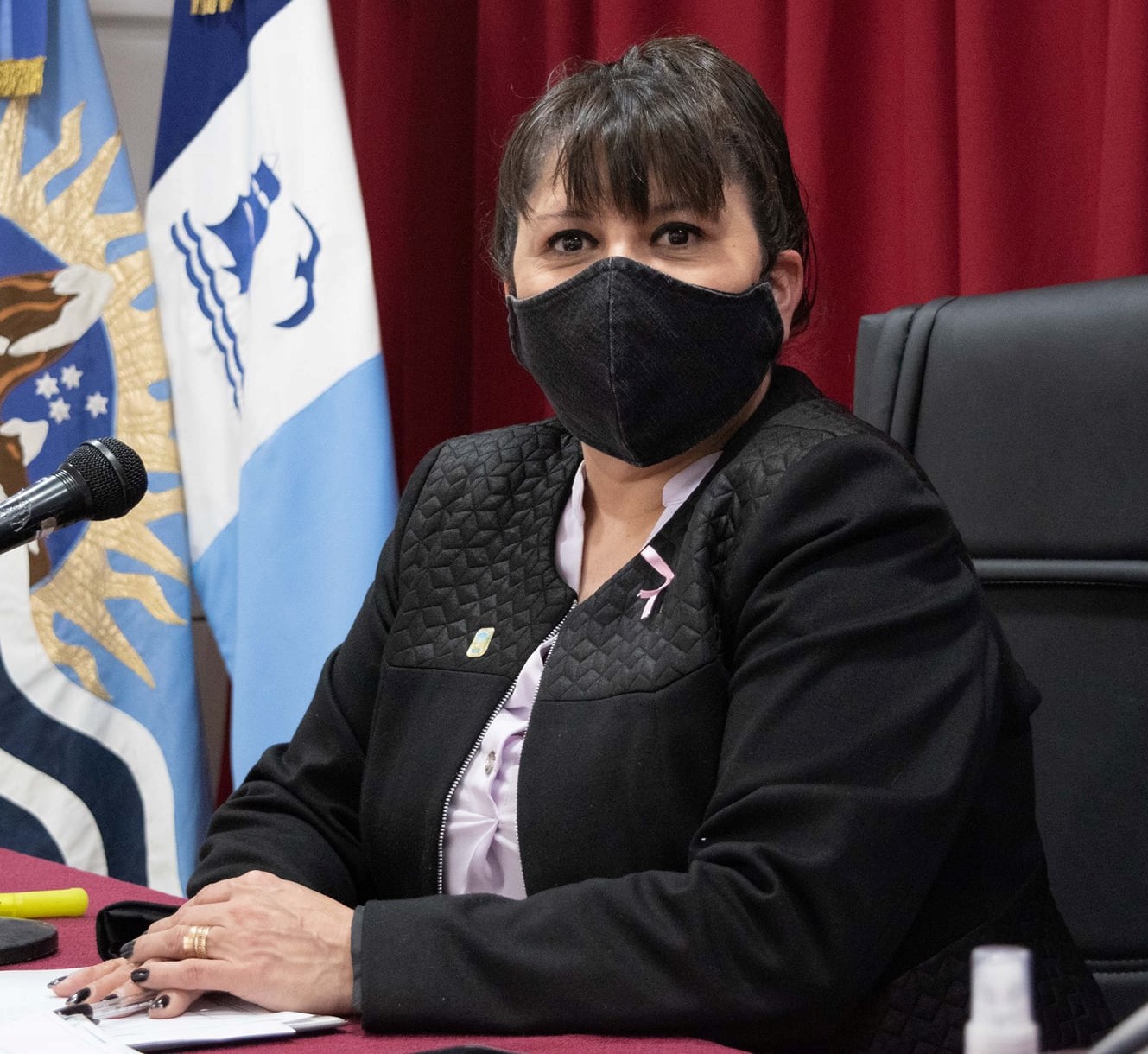 Partió la delegación que promocionará el Festival 136° Aniversario en la región