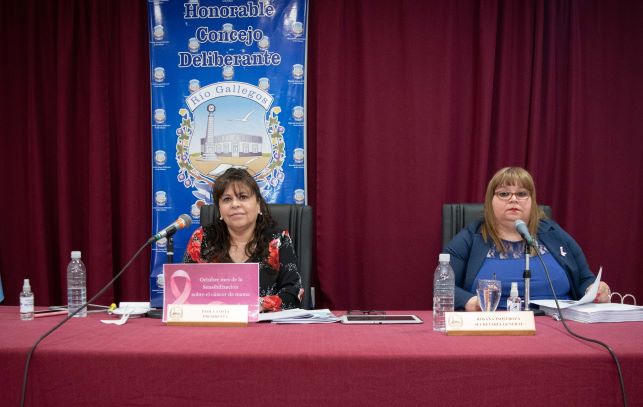 Concejales: Este viernes eligen autoridades para el próximo periodo legislativo en Rio Gallegos